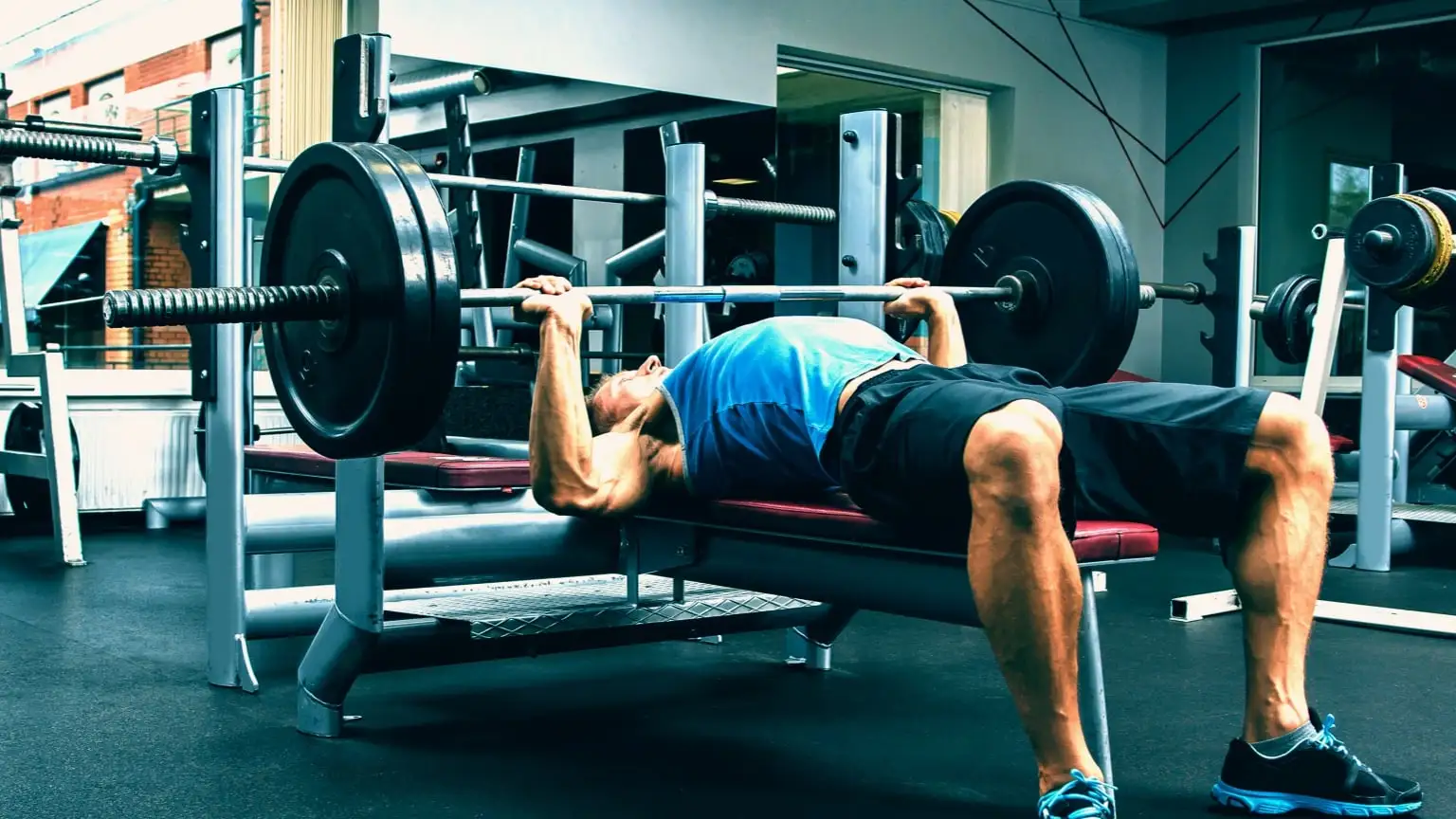 Visual chart demonstrating the Max Bench Calculator output and human strength curve